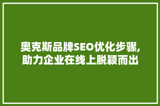 奥克斯品牌SEO优化步骤,助力企业在线上脱颖而出