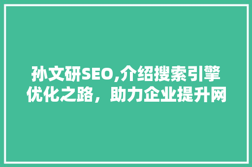 孙文研SEO,介绍搜索引擎优化之路，助力企业提升网络竞争力
