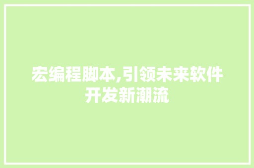 宏编程脚本,引领未来软件开发新潮流