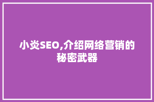 小炎SEO,介绍网络营销的秘密武器