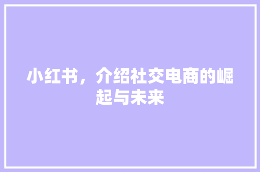 小红书，介绍社交电商的崛起与未来
