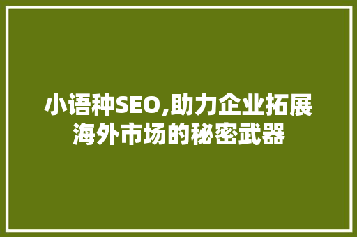 小语种SEO,助力企业拓展海外市场的秘密武器