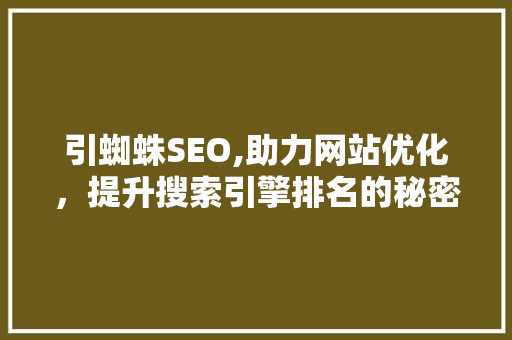 引蜘蛛SEO,助力网站优化，提升搜索引擎排名的秘密武器
