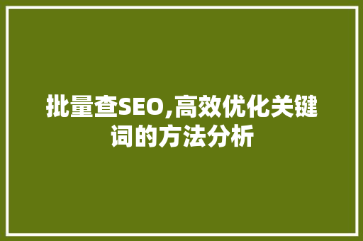 批量查SEO,高效优化关键词的方法分析