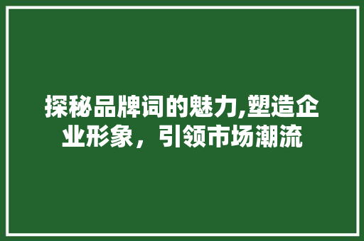 探秘品牌词的魅力,塑造企业形象，引领市场潮流