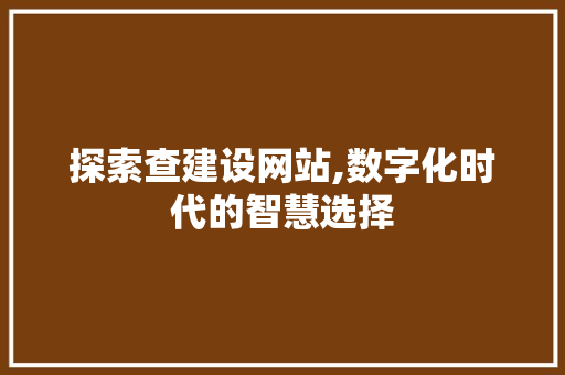 探索查建设网站,数字化时代的智慧选择