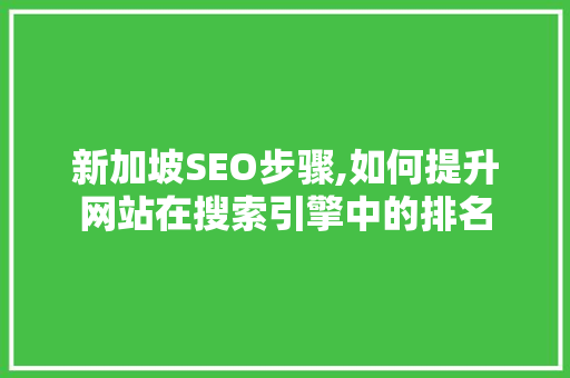 新加坡SEO步骤,如何提升网站在搜索引擎中的排名