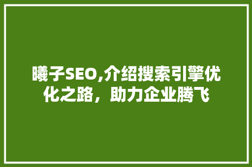 曦子SEO,介绍搜索引擎优化之路，助力企业腾飞