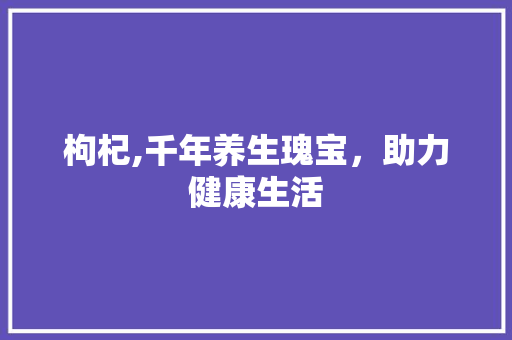 枸杞,千年养生瑰宝，助力健康生活