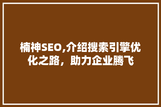 楠神SEO,介绍搜索引擎优化之路，助力企业腾飞