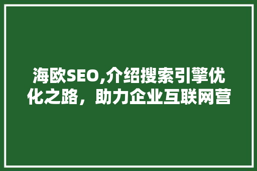 海欧SEO,介绍搜索引擎优化之路，助力企业互联网营销 SEO教程