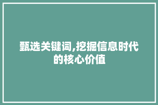 甄选关键词,挖掘信息时代的核心价值