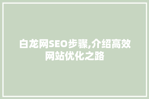 白龙网SEO步骤,介绍高效网站优化之路
