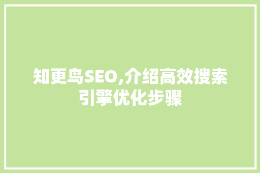 知更鸟SEO,介绍高效搜索引擎优化步骤