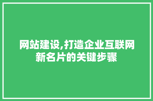 网站建设,打造企业互联网新名片的关键步骤 WordPress教程