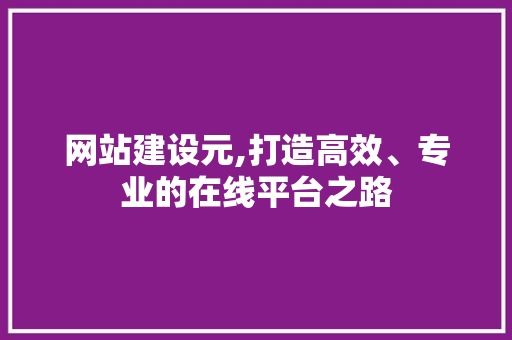 网站建设元,打造高效、专业的在线平台之路