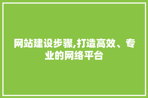 网站建设步骤,打造高效、专业的网络平台