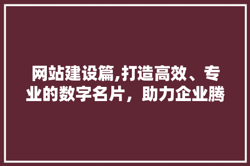 网站建设篇,打造高效、专业的数字名片，助力企业腾飞