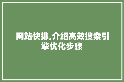 网站快排,介绍高效搜索引擎优化步骤 友链在线