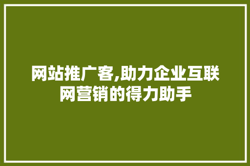 网站推广客,助力企业互联网营销的得力助手
