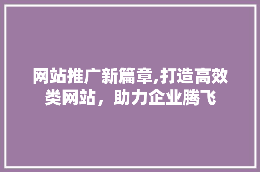 网站推广新篇章,打造高效类网站，助力企业腾飞