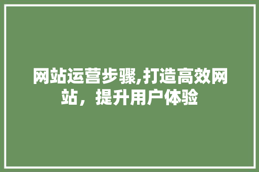 网站运营步骤,打造高效网站，提升用户体验
