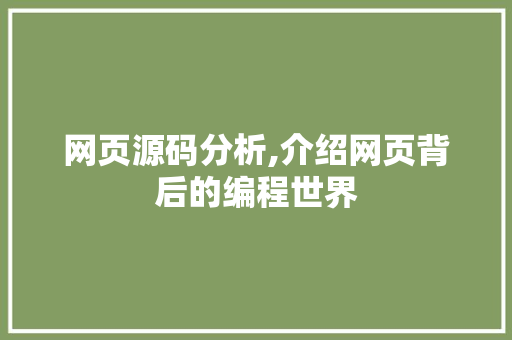 网页源码分析,介绍网页背后的编程世界
