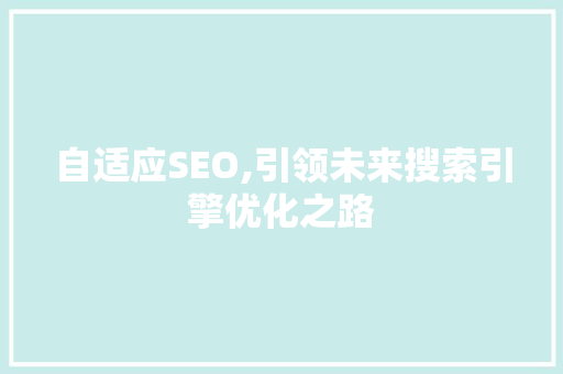自适应SEO,引领未来搜索引擎优化之路