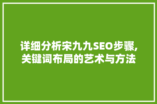详细分析宋九九SEO步骤,关键词布局的艺术与方法