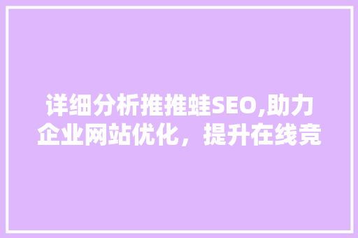 详细分析推推蛙SEO,助力企业网站优化，提升在线竞争力