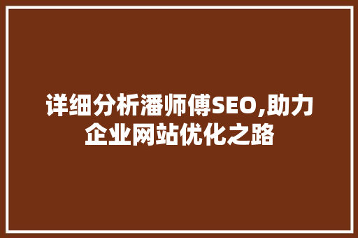 详细分析潘师傅SEO,助力企业网站优化之路