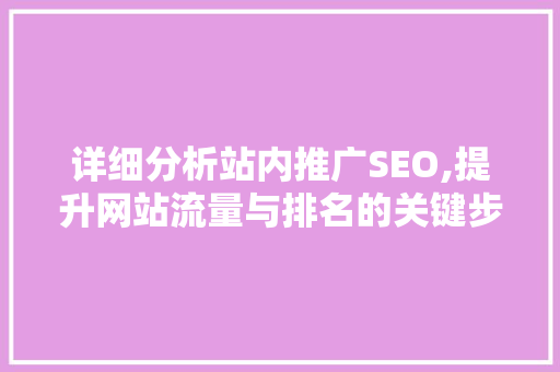 详细分析站内推广SEO,提升网站流量与排名的关键步骤