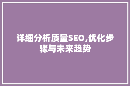详细分析质量SEO,优化步骤与未来趋势