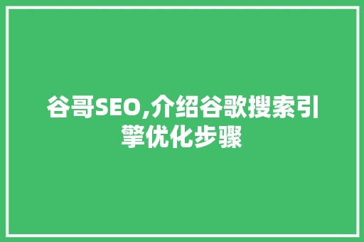 谷哥SEO,介绍谷歌搜索引擎优化步骤