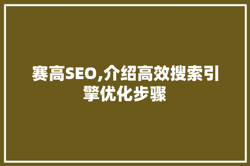 赛高SEO,介绍高效搜索引擎优化步骤