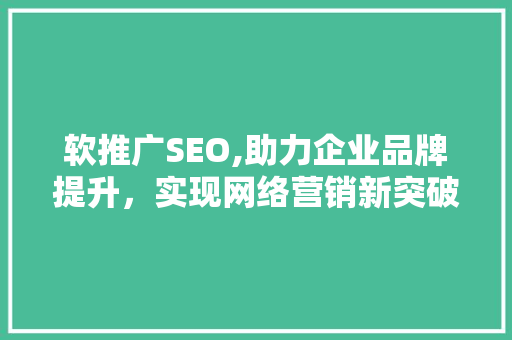 软推广SEO,助力企业品牌提升，实现网络营销新突破