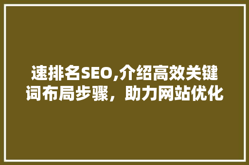 速排名SEO,介绍高效关键词布局步骤，助力网站优化
