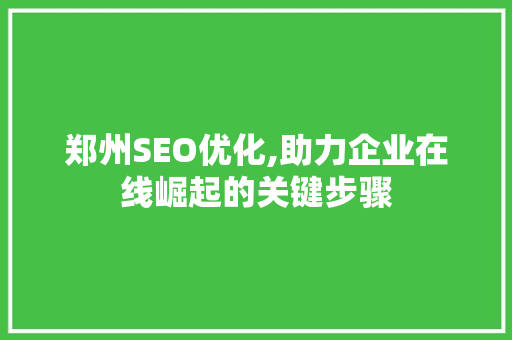 郑州SEO优化,助力企业在线崛起的关键步骤