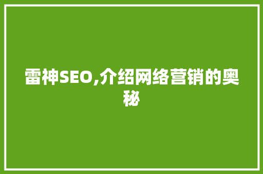 雷神SEO,介绍网络营销的奥秘