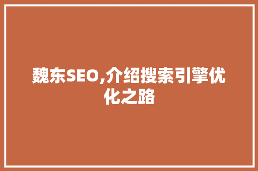 魏东SEO,介绍搜索引擎优化之路