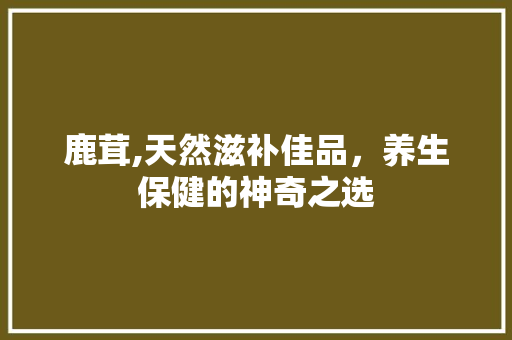 鹿茸,天然滋补佳品，养生保健的神奇之选