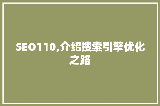 SEO110,介绍搜索引擎优化之路