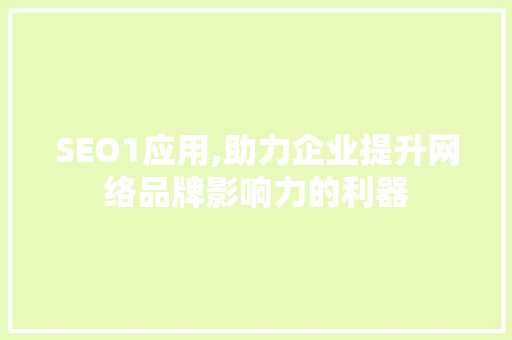SEO1应用,助力企业提升网络品牌影响力的利器