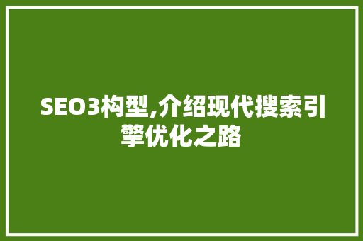 SEO3构型,介绍现代搜索引擎优化之路