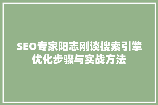 SEO专家阳志刚谈搜索引擎优化步骤与实战方法