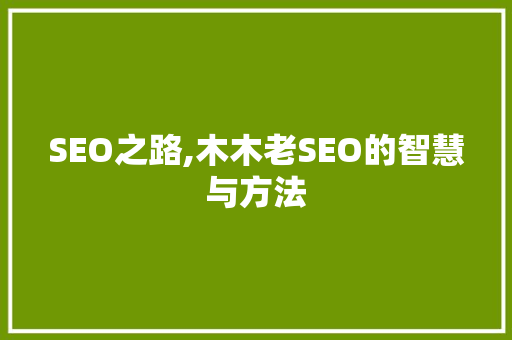 SEO之路,木木老SEO的智慧与方法