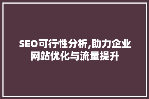 SEO可行性分析,助力企业网站优化与流量提升