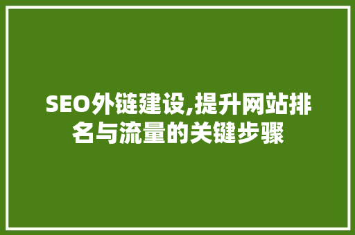 SEO外链建设,提升网站排名与流量的关键步骤