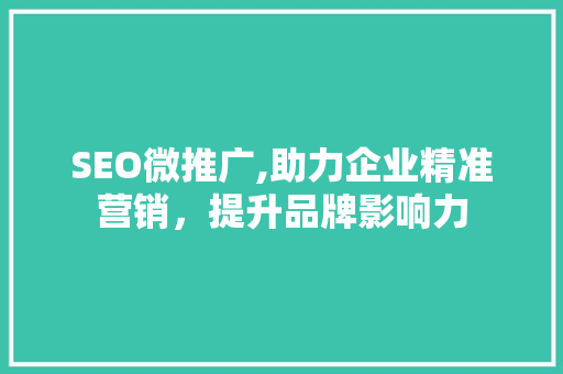 SEO微推广,助力企业精准营销，提升品牌影响力