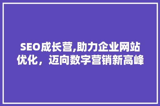 SEO成长营,助力企业网站优化，迈向数字营销新高峰